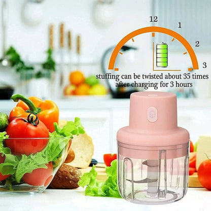 ADRAK PRO Electric Masala Chopper — USB Rechargeable Ginger Garlic Paste Maker (250ml)
